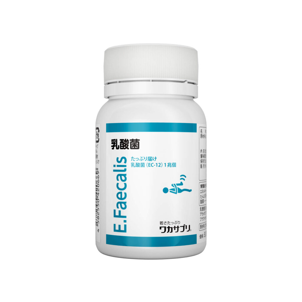 乳酸菌（EC-12）